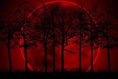 Blood red wallpaper.jpg