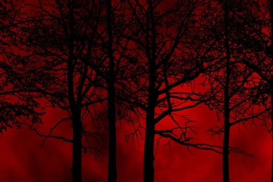 Download Wallpapers 2560x1024 Trees, Sky, Eclipse, Night, Blood ...