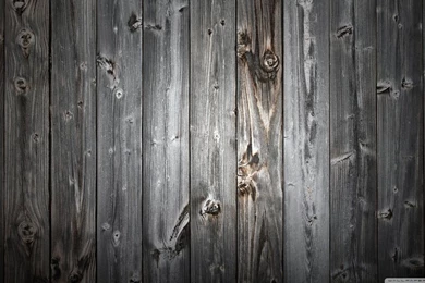 Wood Wall HD Desktop Wallpapers : Widescreen : High Definition ...