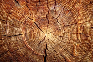 Wood HD Wallpapers 12 Download