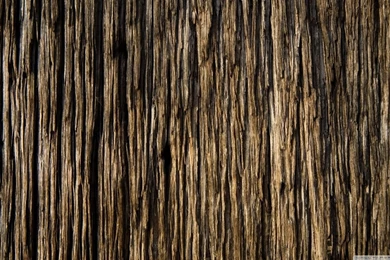 Wood Wallpapers