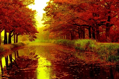 Autumn HD Wallpapers And Backgrounds