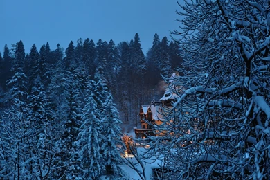 Peles Castle In The Winter Desktop Wallpapers 28374