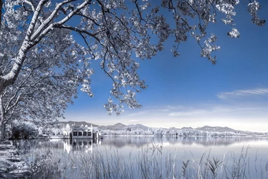 Winter Computer Wallpapers Desktop Backgrounds 1920×1080 Id 332141 ...