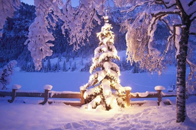 Winter Scenes Desktop Wallpapers 6.jpg