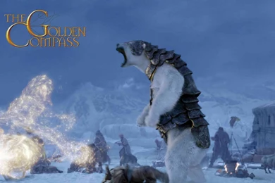 Fighting Bear Wallpapers