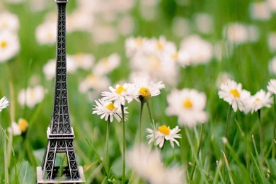 Full HD 1080p Eiffel Tower Wallpapers HD, Desktop Backgrounds ...