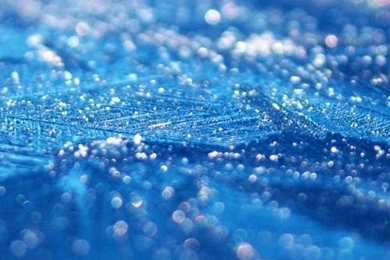 Download Wallpapers 540x960 Surface, Blue, Drops, Dew, Moisture ...