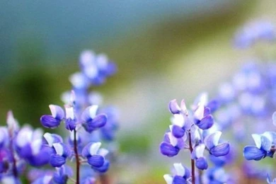 HD 540x960 Wallpapers