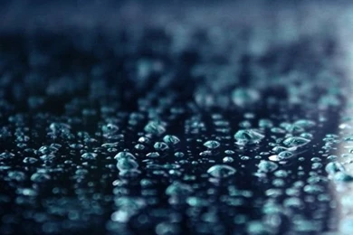 Flower Nokia Phone Wallpapers HD 540x960