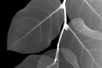 HD 540x960 Wallpapers Img 3