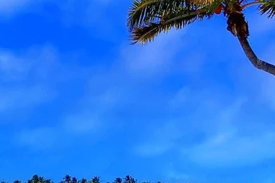 The Caribbean Islands Wallpapers   Beach Wallpapers