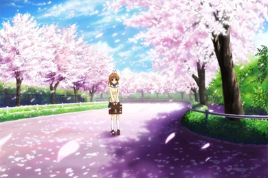 CLANNAD, Wallpapers