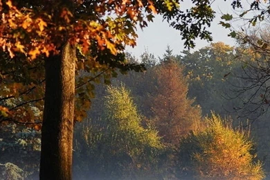 1080×1920 HD Wallpapers Free Download ~ Free Download Cracked ...