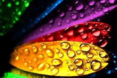 Top Mobile Wallpapers