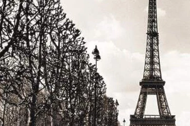 Top Tumblr Home Screen Wallpaper Images For Pinterest