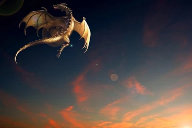 1589 Dragon HD Wallpapers
