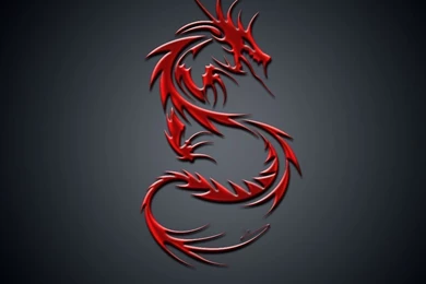 Wallpapers Of Dragons