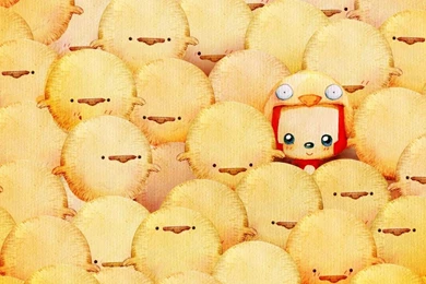 Chicken HD 1280x720