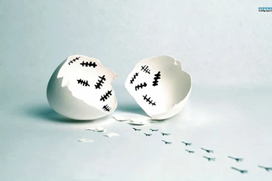 Escaped Chicken Wallpapers   Funny Wallpapers