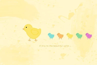 Cute Little Chicken Wallpapers