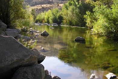 Fly Fishing Wallpapers