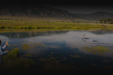Montana fly fishing bg38.jpg