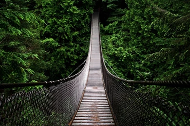 1920x1080 Wallpaper_hd Wallpaper_download Free Wallpapers