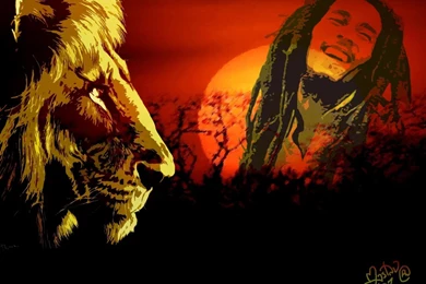 Bob Marley Wallpapers Lion