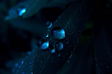 40+ Beautiful, 1080p, Backgrounds Or Beautiful Images For Your ...