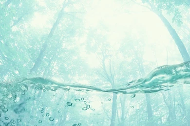 Bright HD Wallpapers