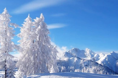 Winter Snow Backgrounds Hd 1080p 11 Hd Wallpapers Hdwalljoy