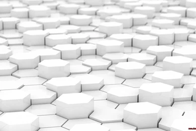 White 3D Backgrounds