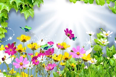 Top Bright Wallpapers For Desktop Images For Pinterest