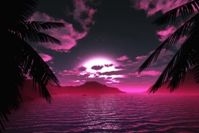 Pink Wallpapers_hd Wallpaper_download Free Wallpapers