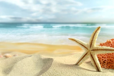 Sea Wallpapers Free Download_hd Wallpaper_download Free Wallpapers