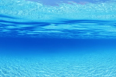 Sea Wallpaper_hd Wallpaper_download Free Wallpapers