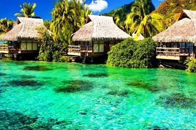 Desktop Backgrounds Archives   Page 3 Of 3   HD Widescreen Wallpapers