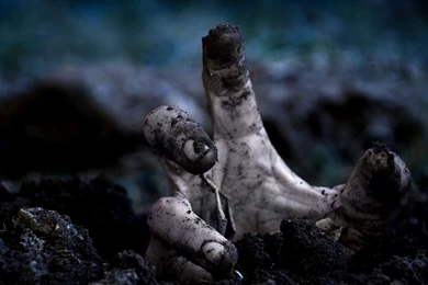 Zombie Wallpaper Backgrounds