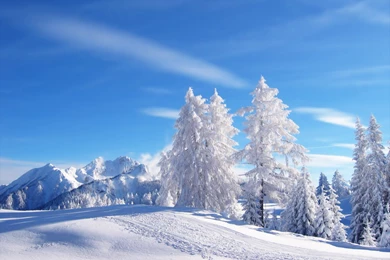 Snow Desktop HD Wallpapers 3.png