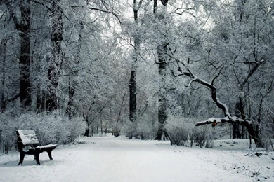 Snow Hd Wallpapers 1366×768 For Desktop Backgrounds Beraplan