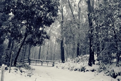 Snow Desktop Backgrounds   Wallpapers