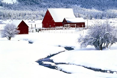 Explore Trends: Snow Desktop Wallpapers And Backgrounds