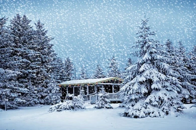 High Definition Wallpapers Christmas Snow Desktop Wallpapers Storm ...