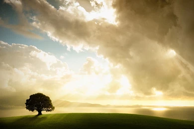 InterfaceLIFT: 1280x1024 Wallpapers Sorted By Comments