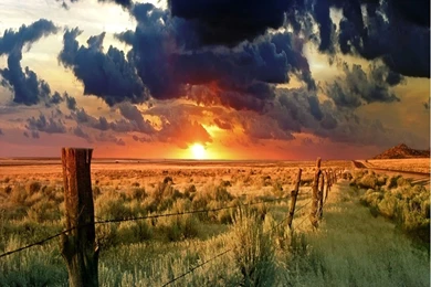 Nature Wallpapers Crazy Frankenstein