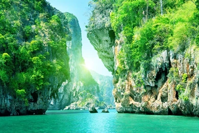 Summer Nature Wallpapers   Crazy Frankenstein