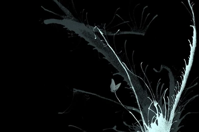 Black Wallpapers 1280x1024 Wallpapers, 1280x1024 Wallpapers ...