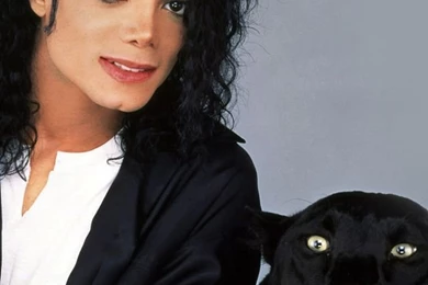 Download Michael Jackson With Puma Wallpapers For iPhone 4