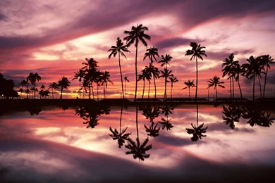 Hawaii Backgrounds   1751681